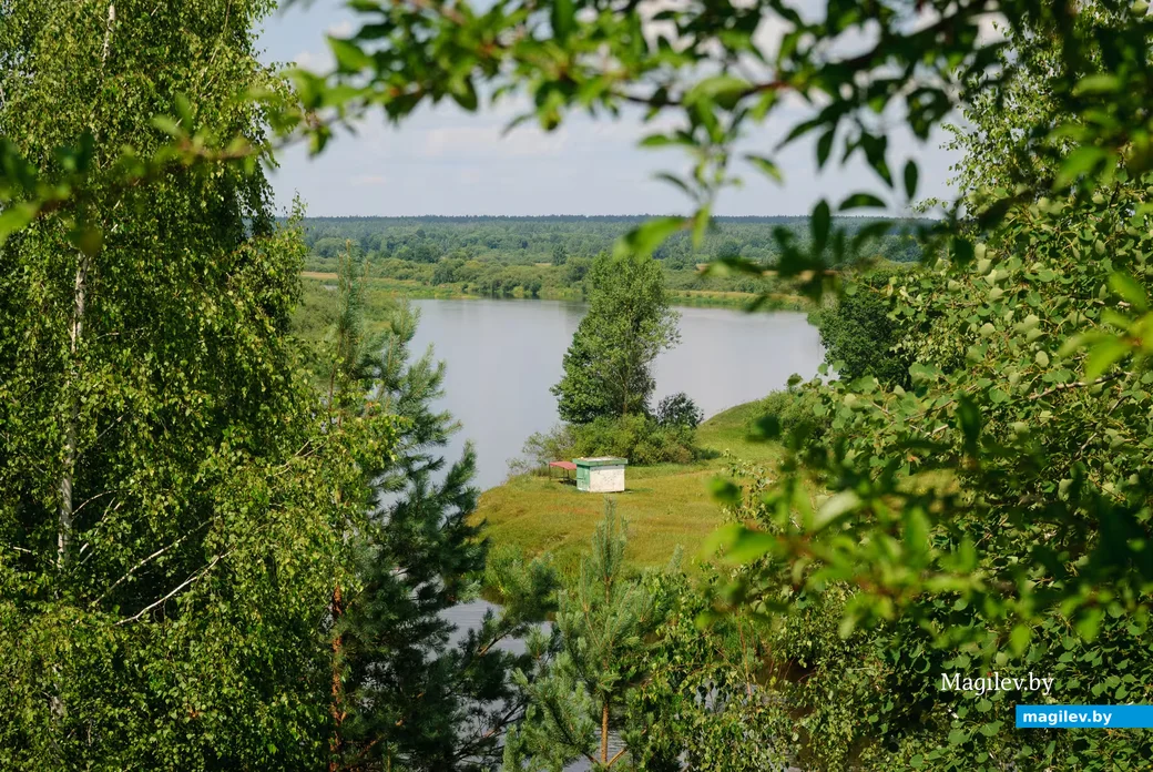 15.07.2026. Июль – макушка лета. Середина июля на Луковой горе
