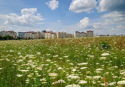 Июль – макушка лета. Фоторепортаж с Луковой горы в Бобруйске