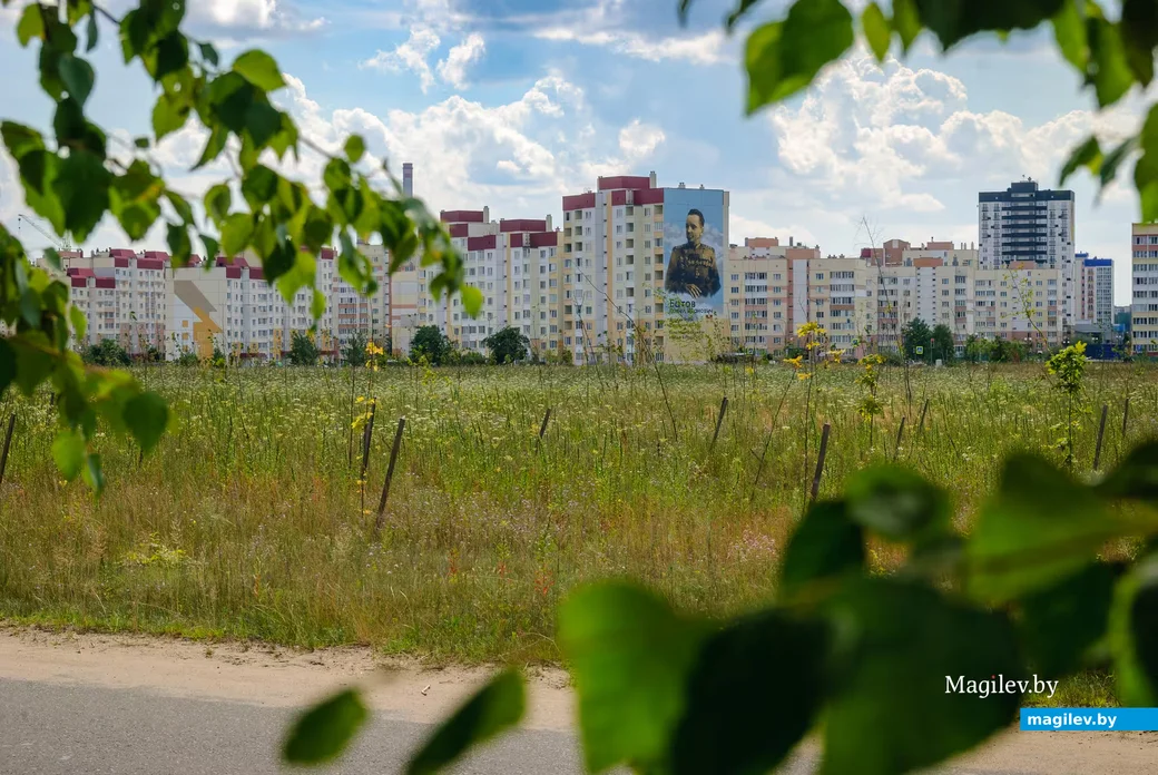 15.07.2026. Июль – макушка лета. Середина июля на Луковой горе