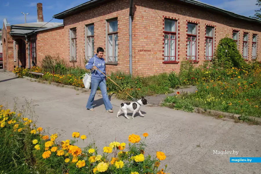 Бобруйск, Железнодорожная, 1. В государственной ветеринарной лечебнице также не будет света