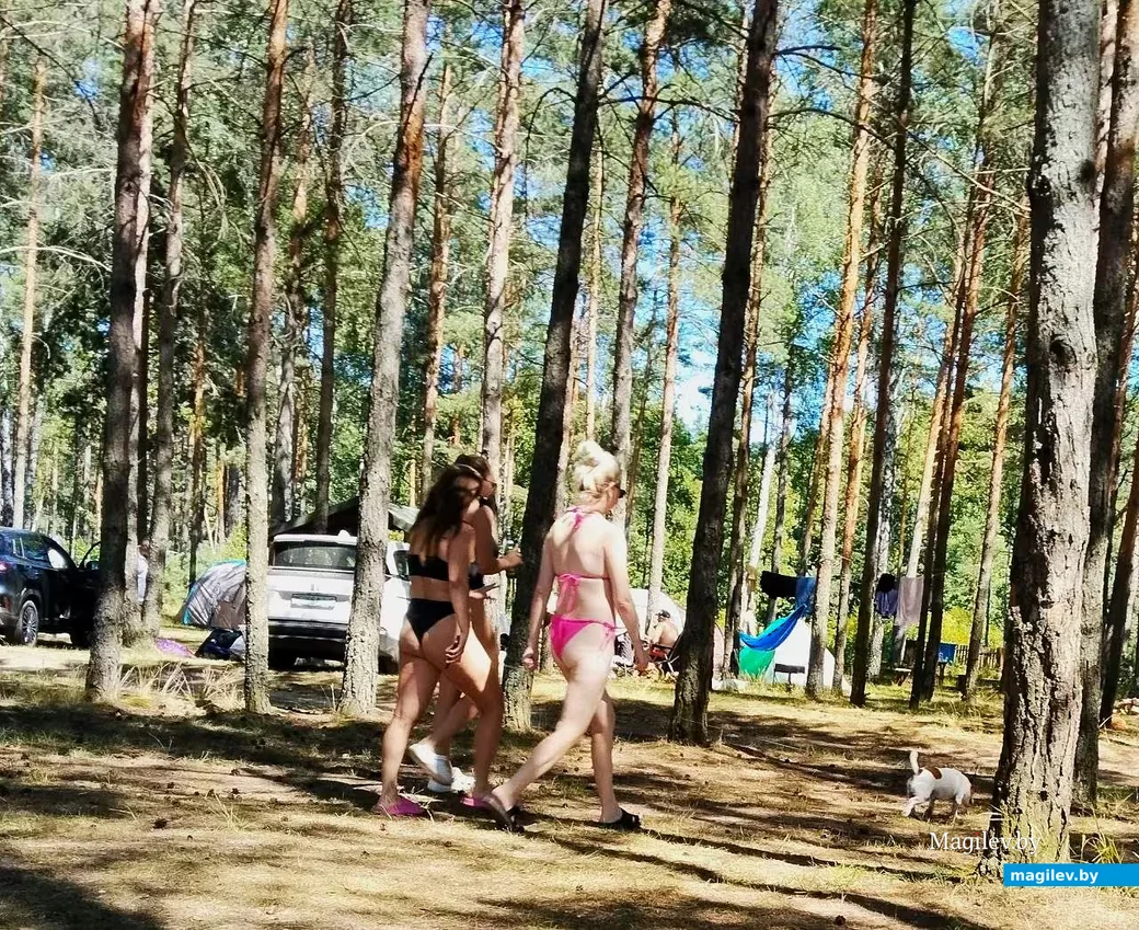   18.07.2026, Чечевичское водохранилище.