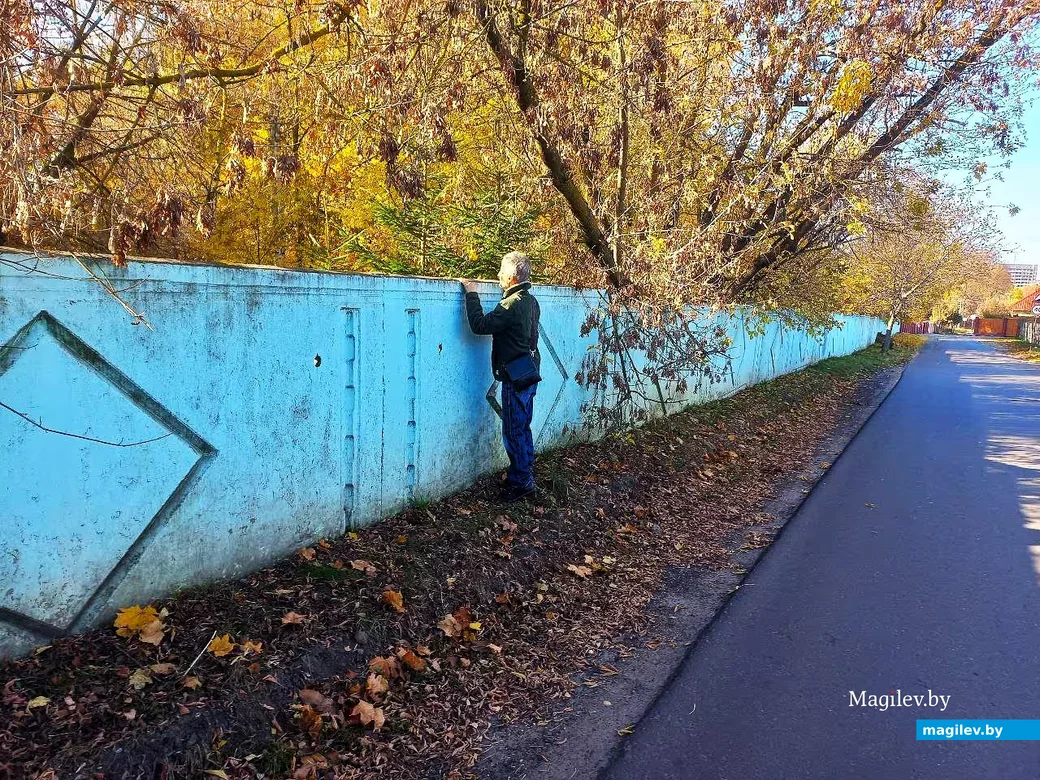 2024-год, Могилев, улица Дарвина. Вот прямо здесь, за оградой кладбища, место упокоения Васи