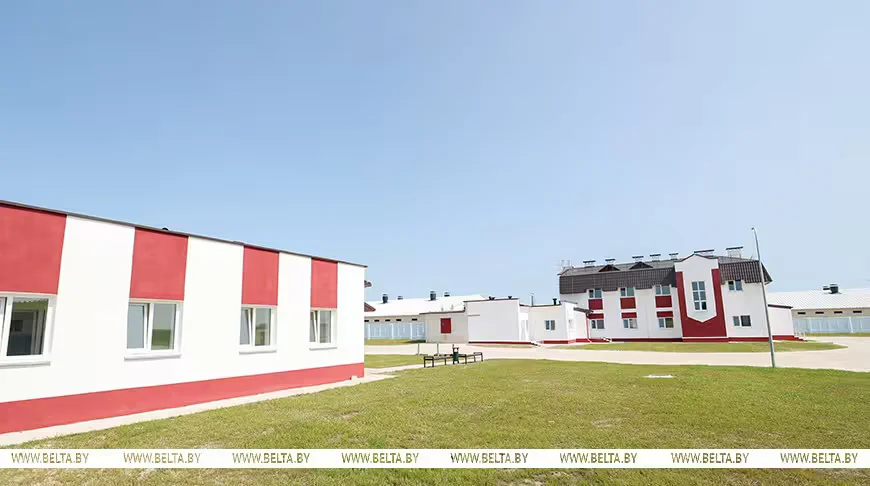 27.07.2026 г. Новый комплекс по откорму свиней открылся в Климовичском районе. Фото: БЕЛТА
