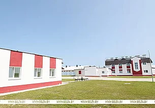 Новый комплекс по откорму свиней открылся в Климовичском районе