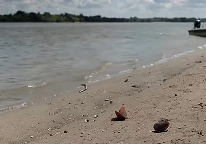 Круизное судно село на мель на Дунае из-за низкого уровня воды