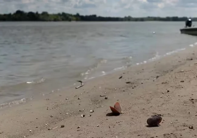 Круизное судно село на мель на Дунае из-за низкого уровня воды
