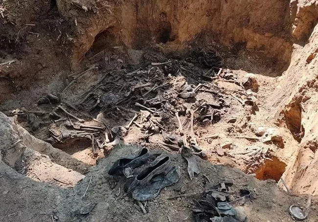 Останки не менее 142 жертв геноцида белорусов обнаружены в Казимировском лесу в Могилеве