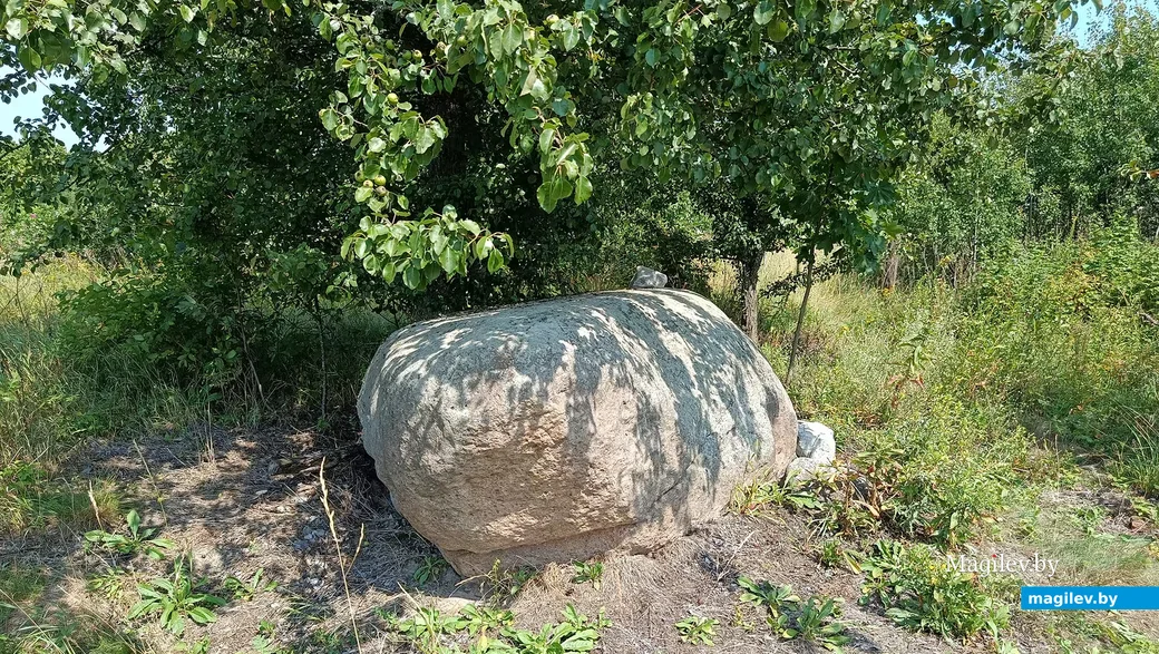 1.08.2026 г. На окраине деревни Клещевка Глусского района лежит древний валун.