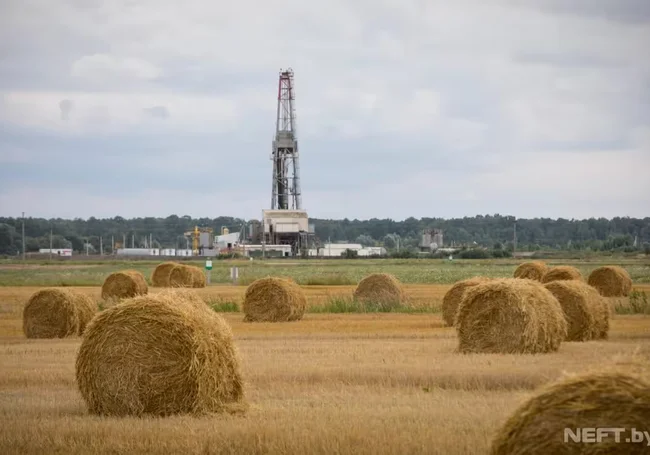 В Беларуси пробурили еще пять нефтяных скважин