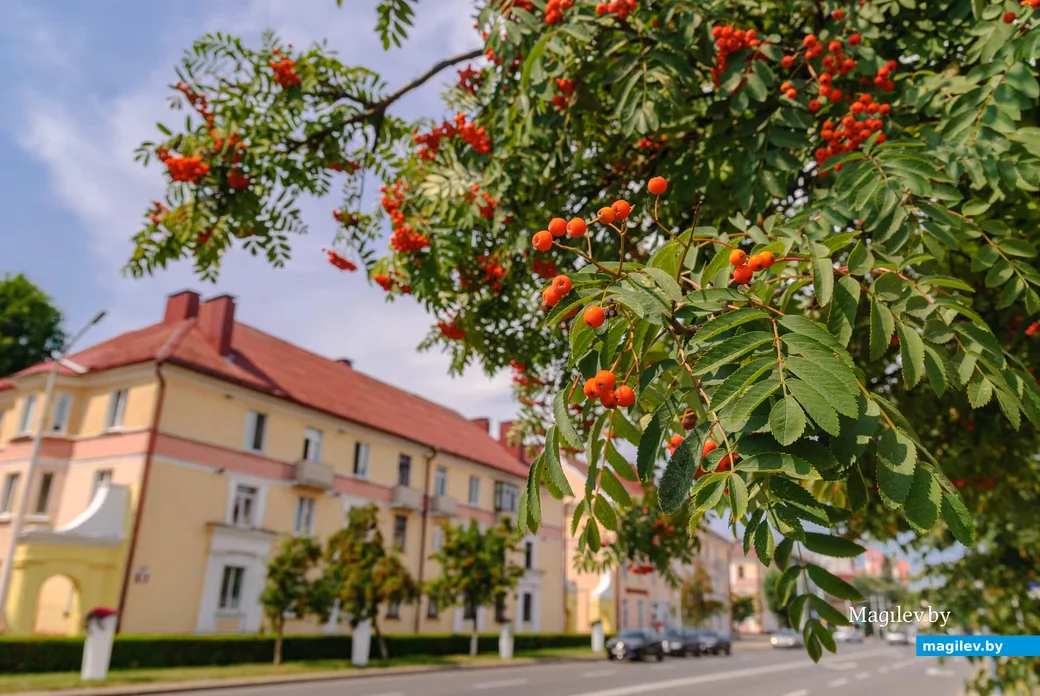 06.08.2026. В Бобруйске в августе установилась температура воздуха 34°С