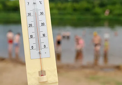 Август в Бобруйске: жара +34°С, и уже опадают листья... Наш фоторепортаж