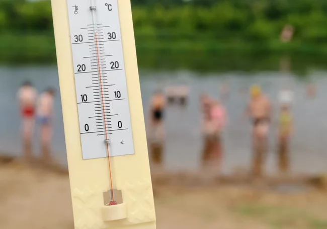 Август в Бобруйске: жара +34°С, и уже опадают листья... Наш фоторепортаж