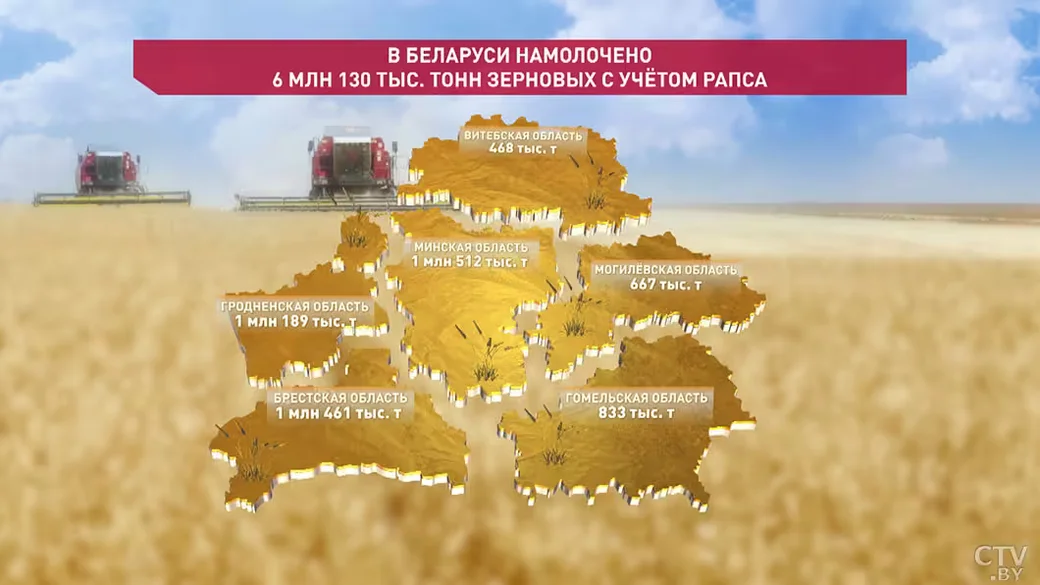 Данные Минсельхозпрода Беларуси на 8 августа 2026 года. Инфографика СТВ.