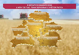 Аграрии Беларуси намолотили 6 миллионов тонн зерна