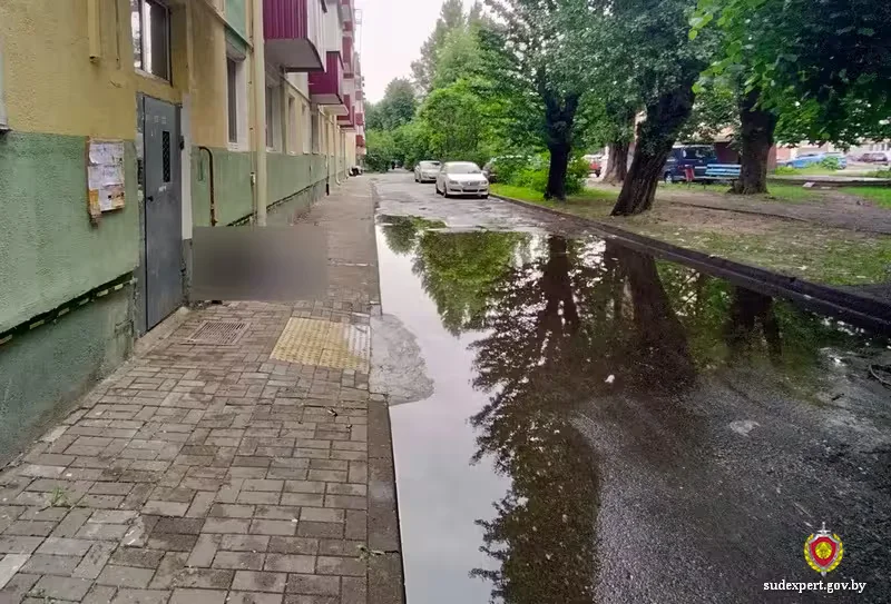 Механическая асфиксия водой – достаточно даже лужи. Фото: sudexpert.gov.by.