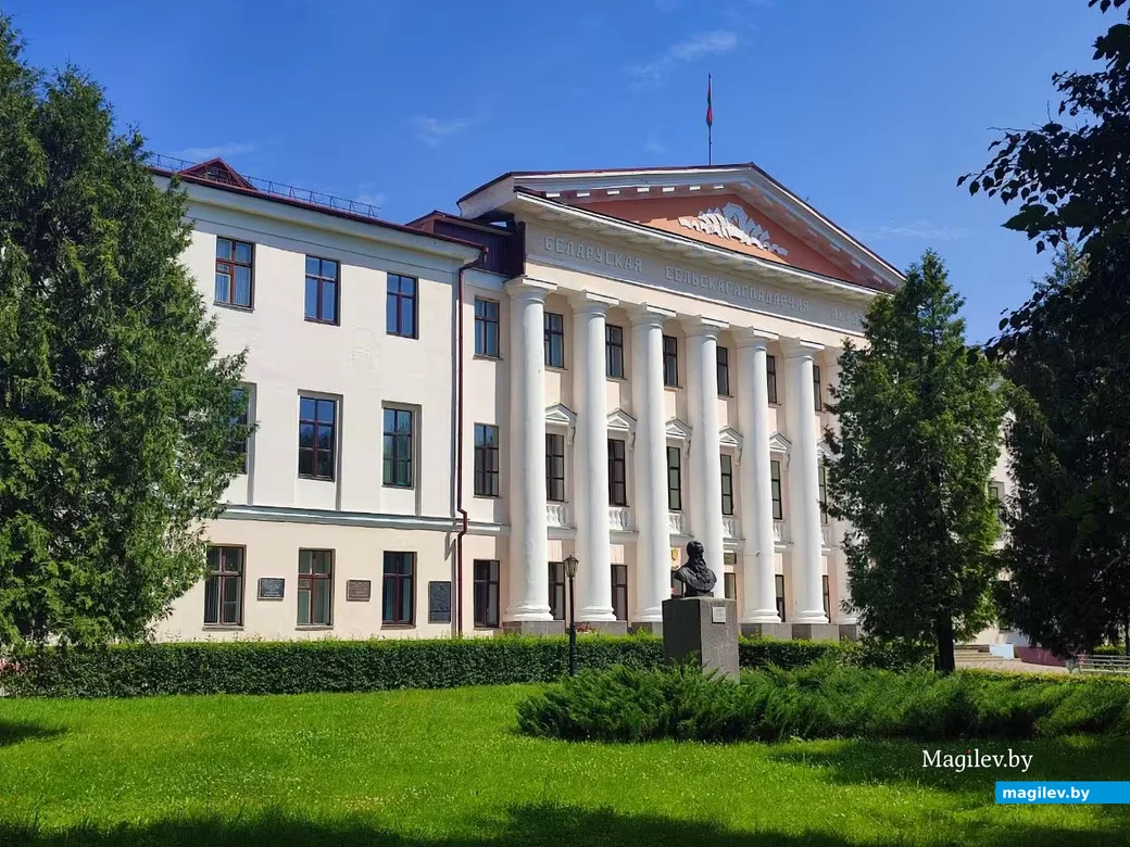 13.08.2026. Город Горки, Могилевская область. Белорусская государственная сельскохозяйственная