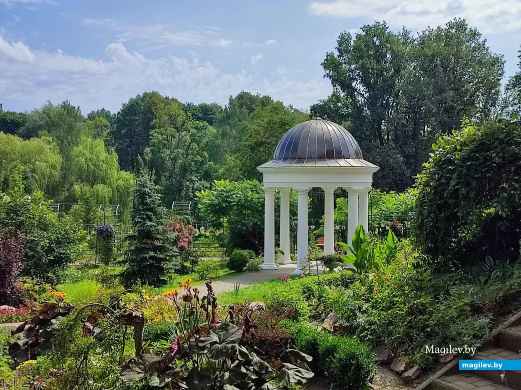 13.08.2026. Город Горки, Могилевская область. Ботанический сад.  