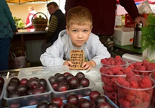 Всюду сливы, яблоки и груши. А цены на бобруйском базаре – прошлогодние