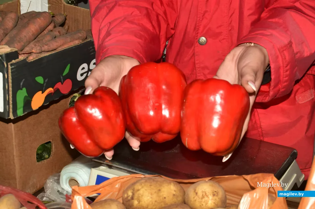 21/08/2026, Бобруйск. Рынок на Красноармейской