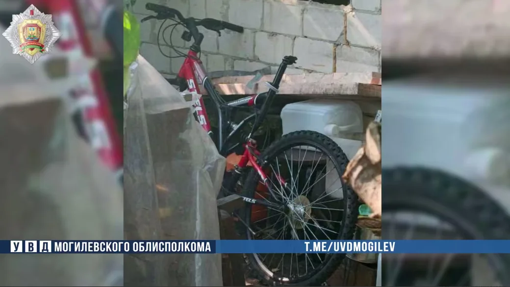  Фото: УВД Могоблисполкома