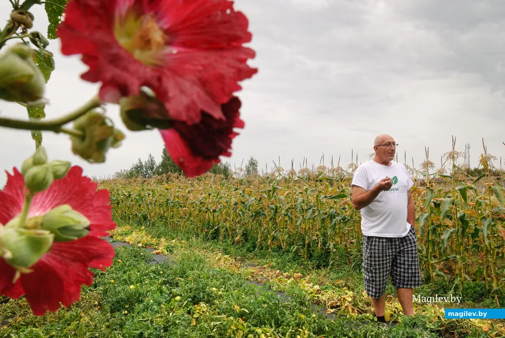 20.08.2026. Кировский район, Жиличи. Сергей Лапенок