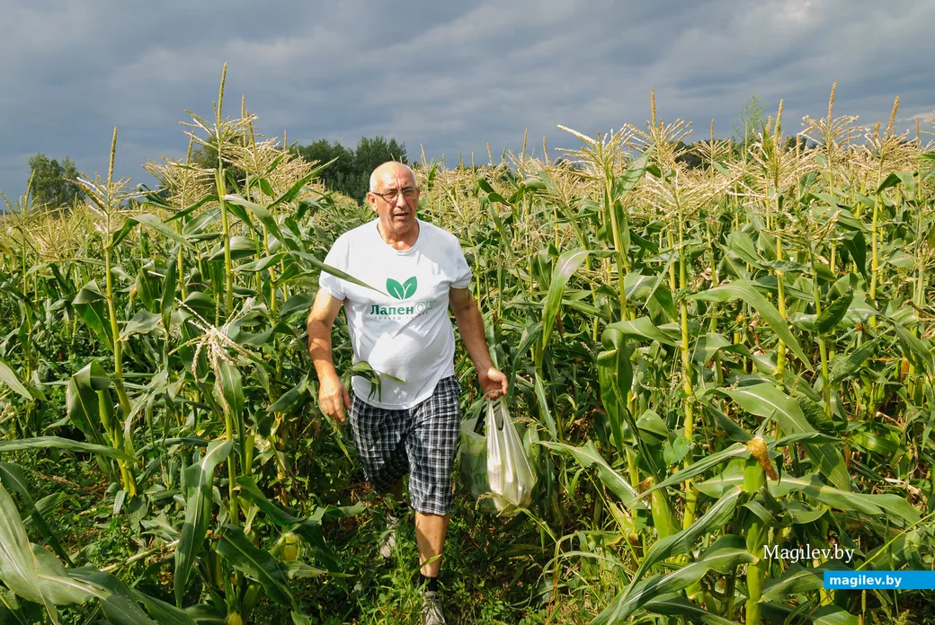 20.08.2026. Кировский район, Жиличи. Сергей Лапенок