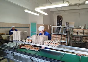 «Дома скучно  Хочется приключений»