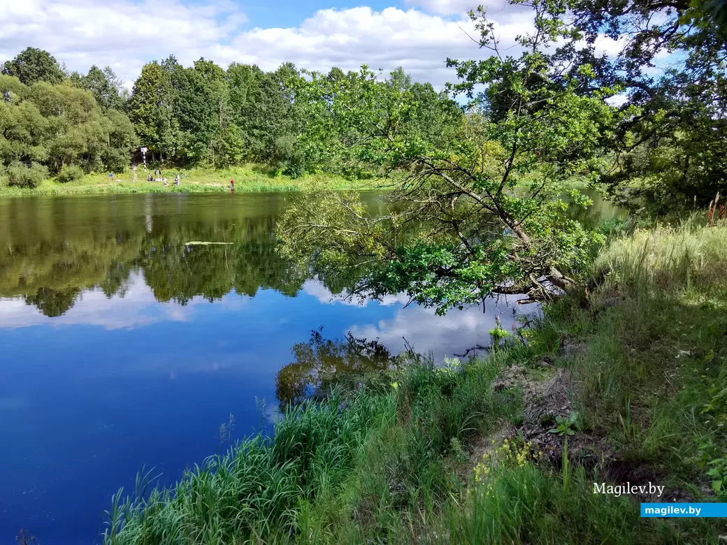 На Березине. Фото: Александр Чугуев.