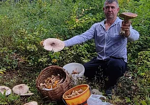 Начинаем наш грибной конкурс «Тихая охота»