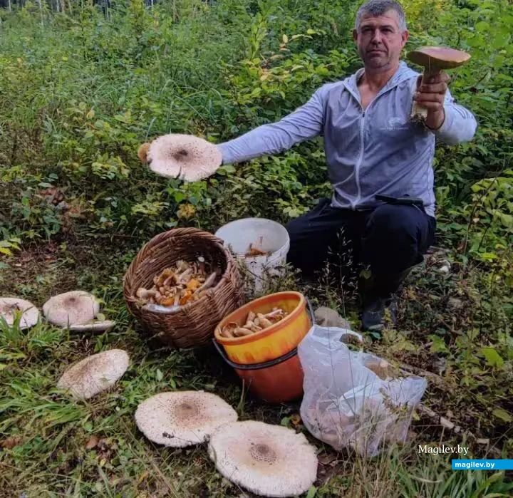  3.09.2026. Добыча Игоря Билиалова. 