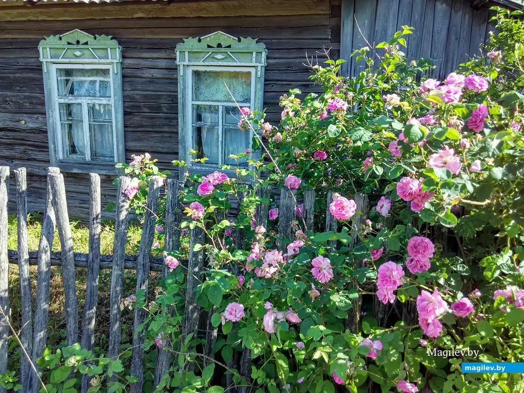 Фото: Александр Чугуев.