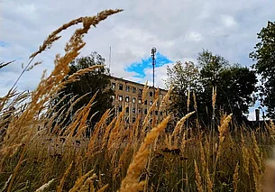 Могилев исчезающий. Сюрреализм приходит и уходит