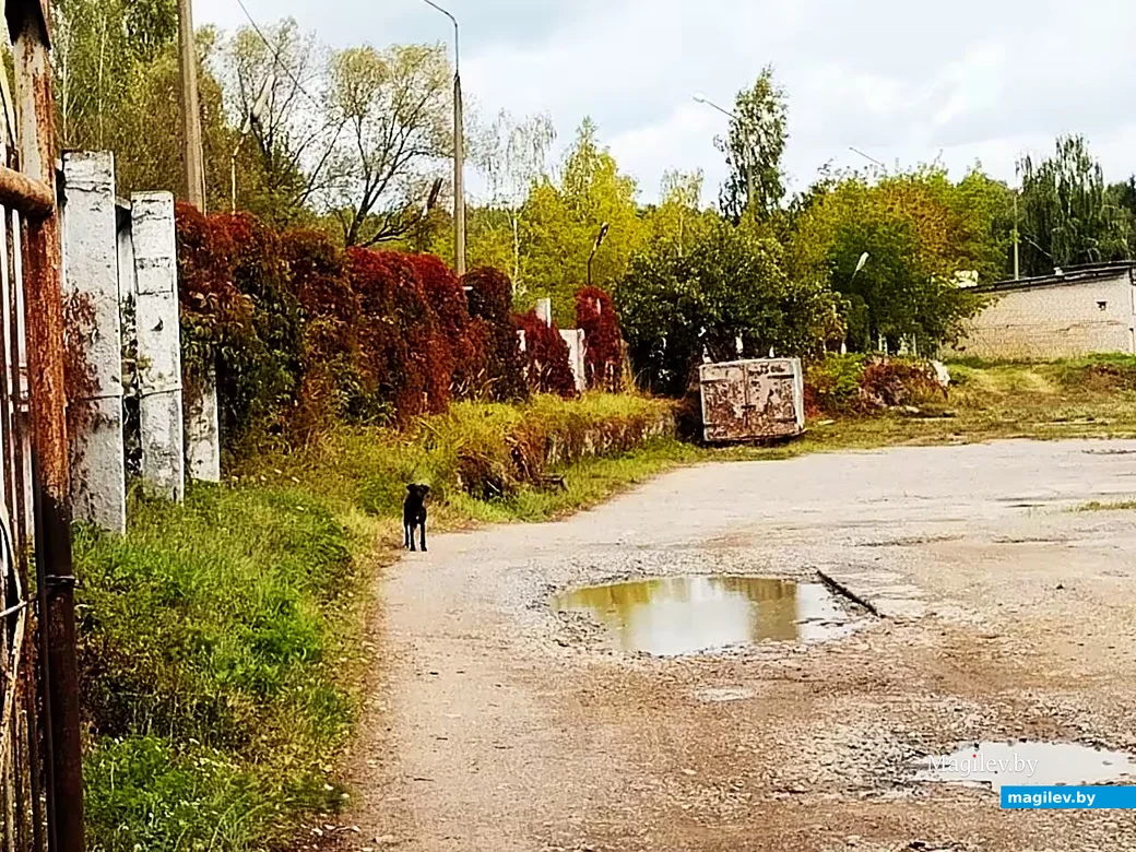   07.09.2026, Могилев. Сюрреализм городских окраин.