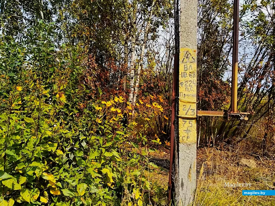   07.09.2026, Могилев. Сюрреализм городских окраин.