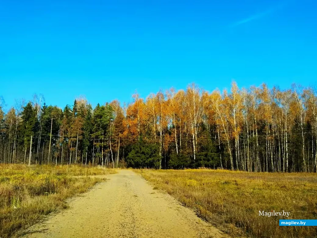  28.10.2026, Могилевский район, окраина агрогородка Речки.  