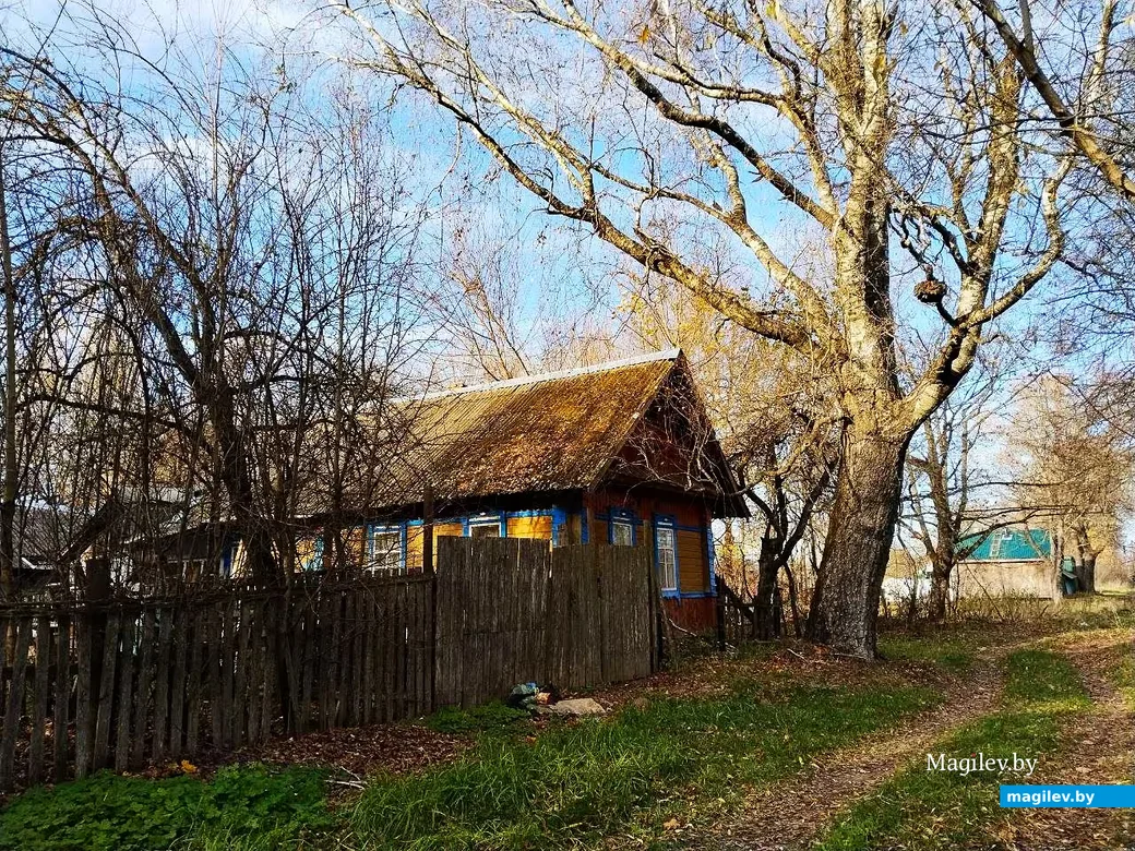  28.10.2026, Могилевский район, окраина агрогородка Речки.  