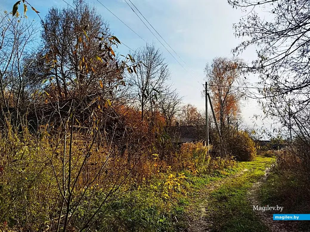  28.10.2026, Могилевский район, окраина агрогородка Речки.  