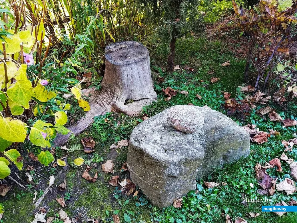  28.10.2026, Могилевский район, окраина агрогородка Речки.  