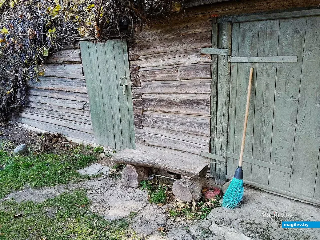  28.10.2026, Могилевский район, окраина агрогородка Речки.  