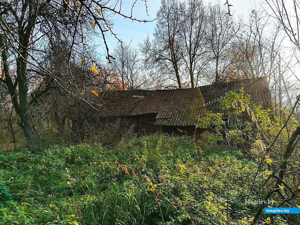  28.10.2026, Могилевский район, окраина агрогородка Речки.  