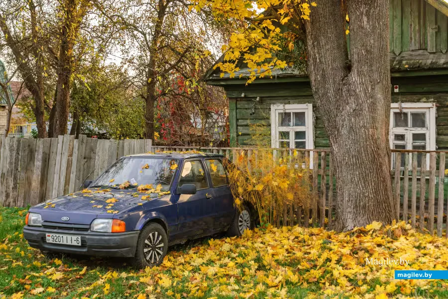 Фото: Александр Чугуев.